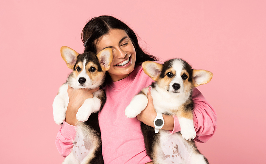 Almanya’da köpek sahipleri belediyelere milyonlar kazandırıyor
